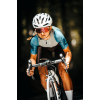 Фотохромные очки Julbo DENSITY (REACTIV 1-3 LAGP) shiny translucent black/gray