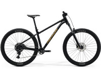 Велосипед 29 Merida BIG TRAIL 300 black 2026