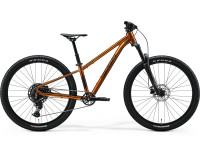 Велосипед 26 Merida MATTS J CHAMPION wild honey 2026