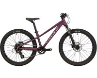 Подростковый велосипед Cyclone Dream 24