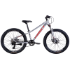Подростковый велосипед Formula THOR DD CS 24 серебристо-красный 026