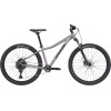 Велосипед Cannondale Trail 5 Feminine 29