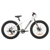 Фэтбайк Formula Paladin DD 26 FAT BIKE